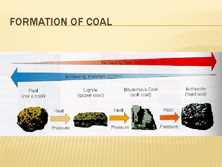 FORMATION OF COAL 