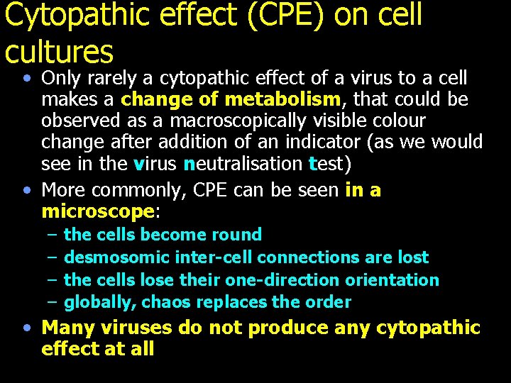 Cytopathic effect (CPE) on cell cultures • Only rarely a cytopathic effect of a