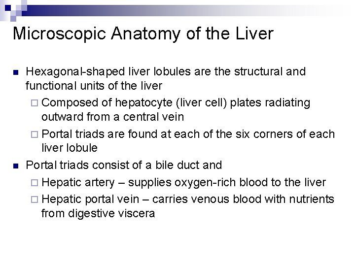 Microscopic Anatomy of the Liver n n Hexagonal-shaped liver lobules are the structural and
