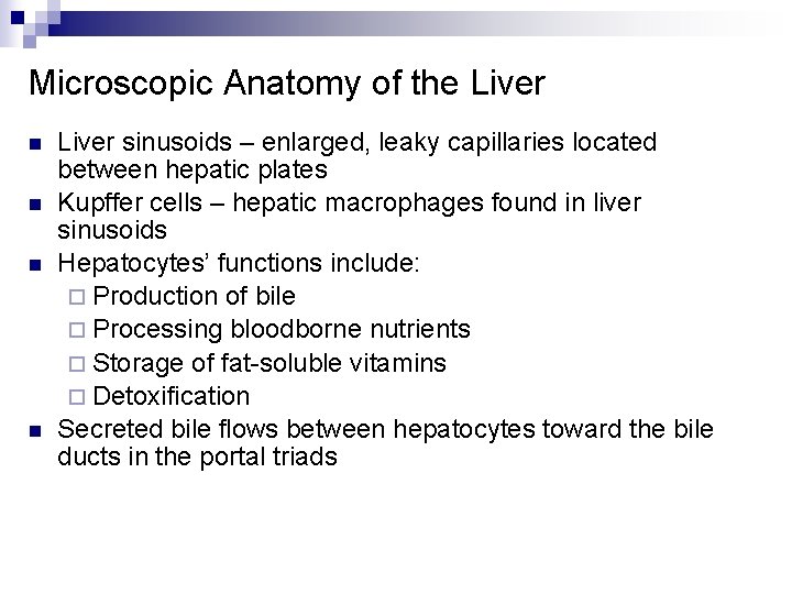 Microscopic Anatomy of the Liver n n Liver sinusoids – enlarged, leaky capillaries located