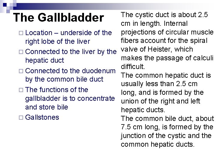 The cystic duct is about 2. 5 cm in length. Internal projections of circular