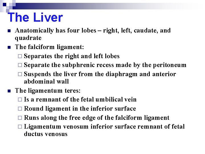 The Liver n n n Anatomically has four lobes – right, left, caudate, and