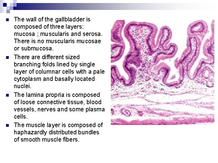 n n The wall of the gallbladder is composed of three layers: mucosa ;