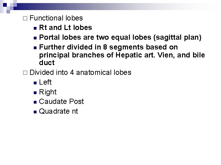 ¨ Functional lobes n Rt and Lt lobes n Portal lobes are two equal