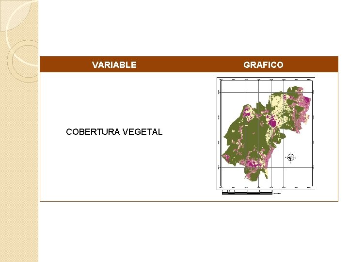 VARIABLE COBERTURA VEGETAL GRAFICO 