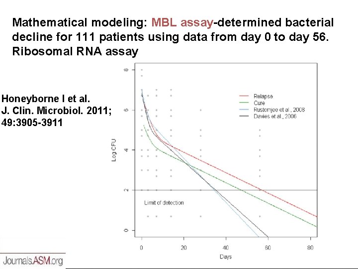 Mathematical modeling: MBL assay-determined bacterial decline for 111 patients using data from day 0