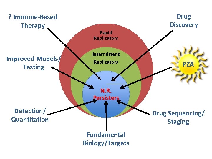 ? Immune-Based Therapy Improved Models/ Testing Drug Discovery Rapid Replicators Intermittent Replicators PZA N.