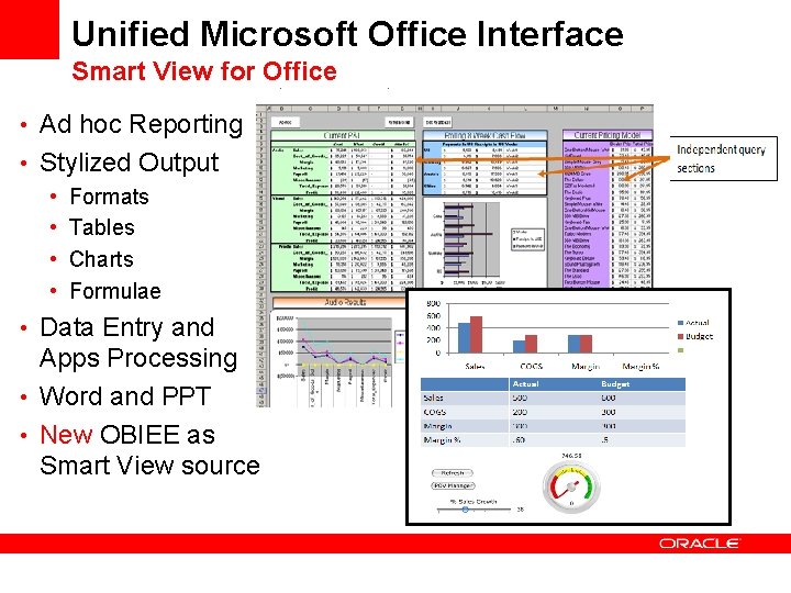 Unified Microsoft Office Interface Smart View for Office • Ad hoc Reporting • Stylized