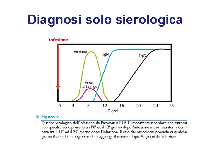 Diagnosi solo sierologica 