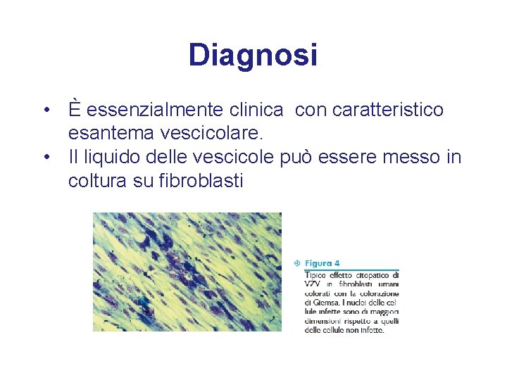 Diagnosi • È essenzialmente clinica con caratteristico esantema vescicolare. • Il liquido delle vescicole