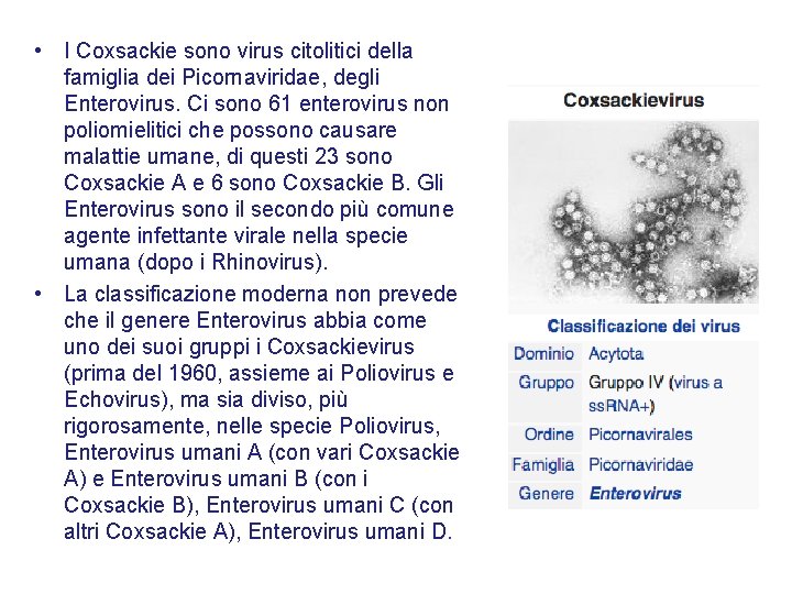  • I Coxsackie sono virus citolitici della famiglia dei Picornaviridae, degli Enterovirus. Ci