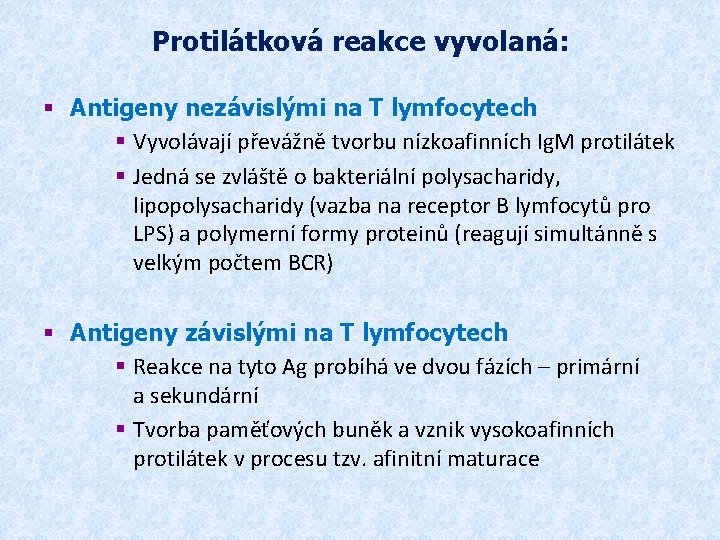 Protilátková reakce vyvolaná: § Antigeny nezávislými na T lymfocytech § Vyvolávají převážně tvorbu nízkoafinních