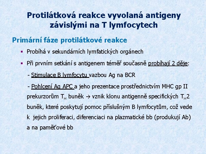 Protilátková reakce vyvolaná antigeny závislými na T lymfocytech Primární fáze protilátkové reakce § Probíhá