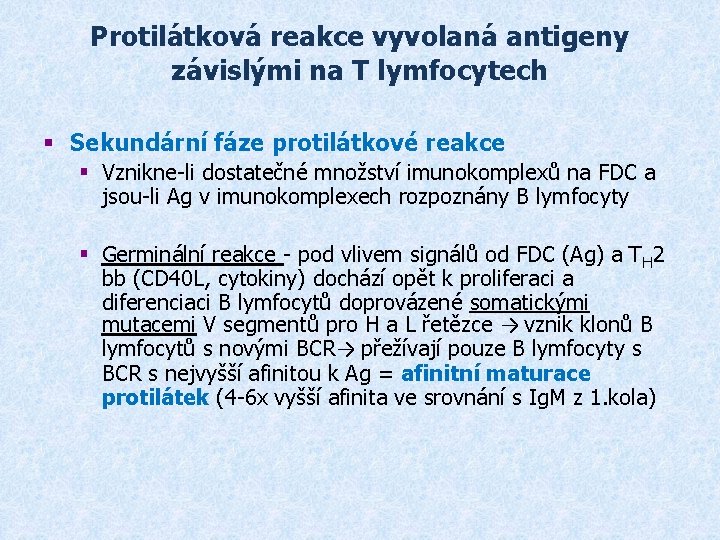 Protilátková reakce vyvolaná antigeny závislými na T lymfocytech § Sekundární fáze protilátkové reakce §