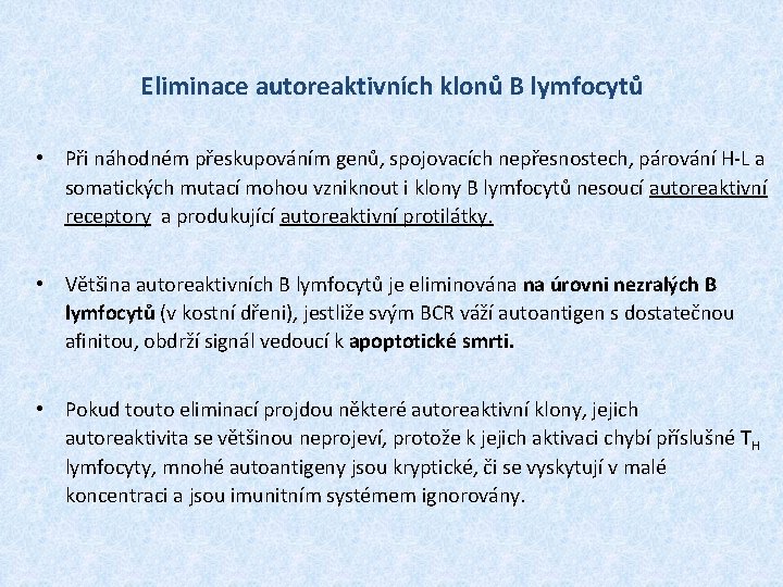 Eliminace autoreaktivních klonů B lymfocytů • Při náhodném přeskupováním genů, spojovacích nepřesnostech, párování H-L