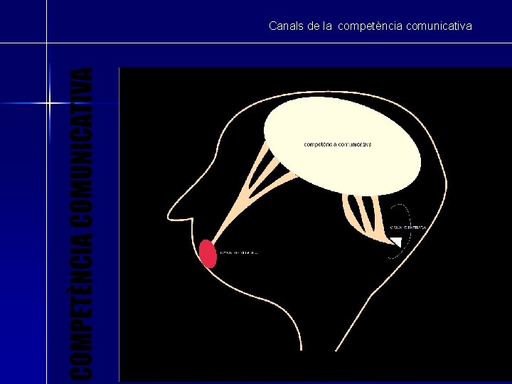 Canals de la competència comunicativa 