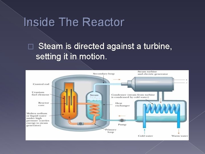 Inside The Reactor � Steam is directed against a turbine, setting it in motion.