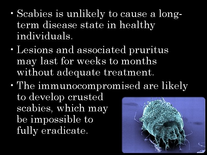  • Scabies is unlikely to cause a longterm disease state in healthy individuals.