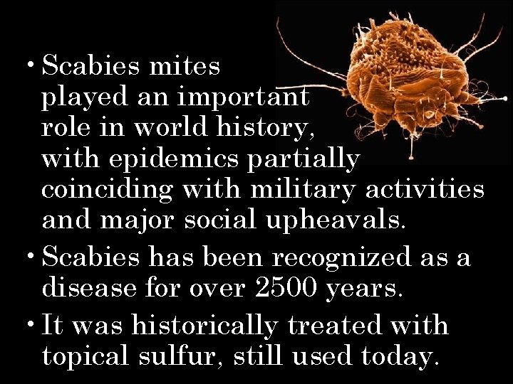  • Scabies mites played an important role in world history, with epidemics partially