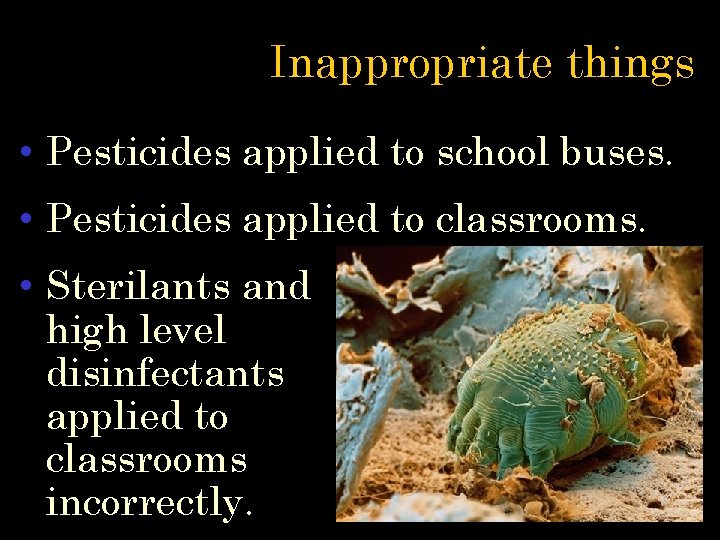 Inappropriate things • Pesticides applied to school buses. • Pesticides applied to classrooms. •