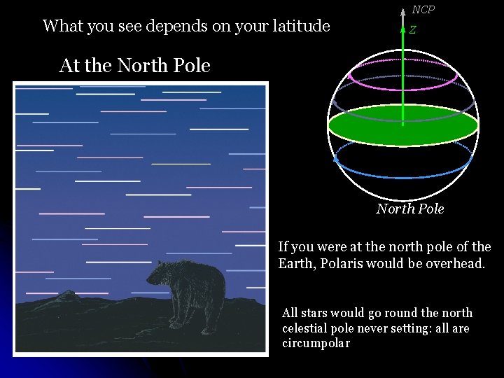 NCP What you see depends on your latitude Z At the North Pole If