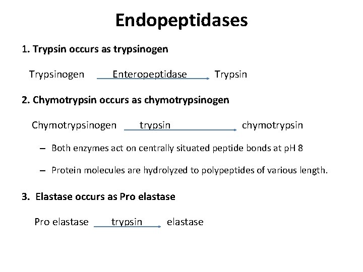 Endopeptidases 1. Trypsin occurs as trypsinogen Trypsinogen Enteropeptidase Trypsin 2. Chymotrypsin occurs as chymotrypsinogen