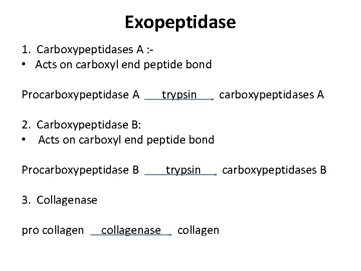 Exopeptidase 1. Carboxypeptidases A : - • Acts on carboxyl end peptide bond Procarboxypeptidase