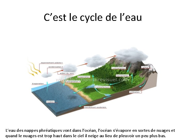 C’est le cycle de l’eau L’eau des nappes phréatiques vont dans l’océan, l’océan s’évapore