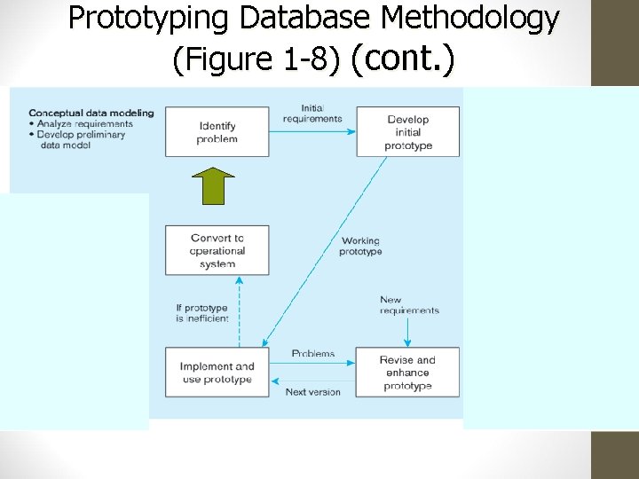 Prototyping Database Methodology (Figure 1 -8) (cont. ) 
