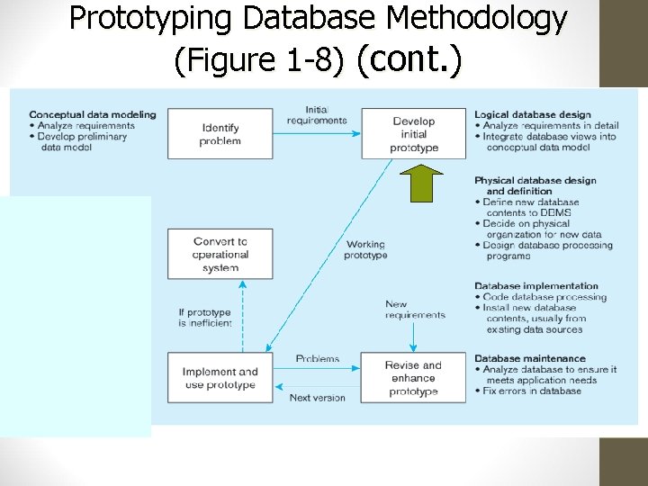 Prototyping Database Methodology (Figure 1 -8) (cont. ) 