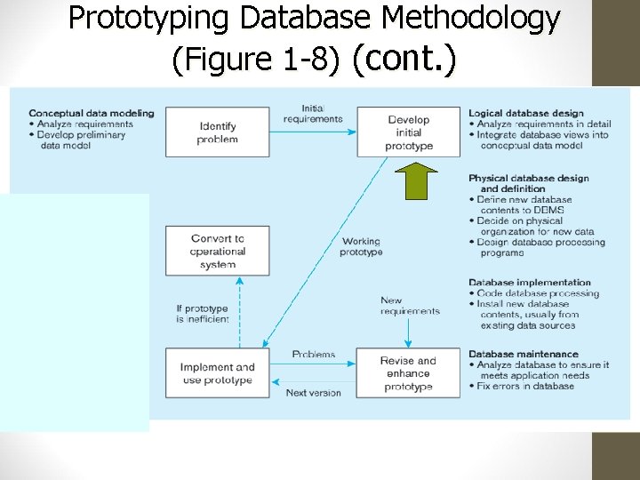 Prototyping Database Methodology (Figure 1 -8) (cont. ) Prototyping Database Methodology (Figure 1 -8) (cont. )