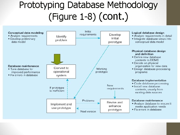 Prototyping Database Methodology (Figure 1 -8) (cont. ) 