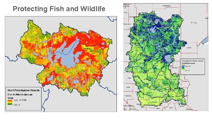 Protecting Fish and Wildlife 12 