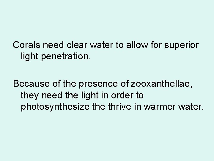 Corals need clear water to allow for superior light penetration. Because of the presence