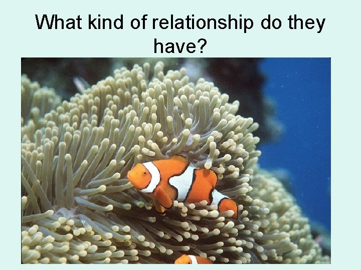 What kind of relationship do they have? 