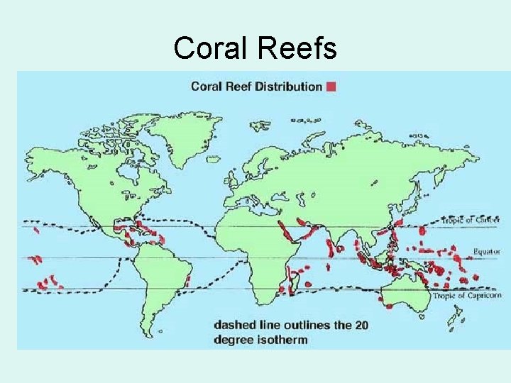 Coral Reefs 