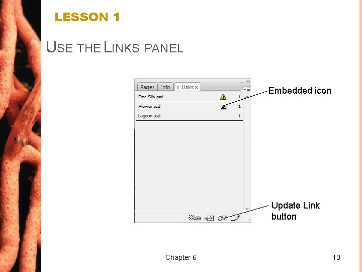 LESSON 1 USE THE LINKS PANEL Embedded icon Update Link button Chapter 6 10