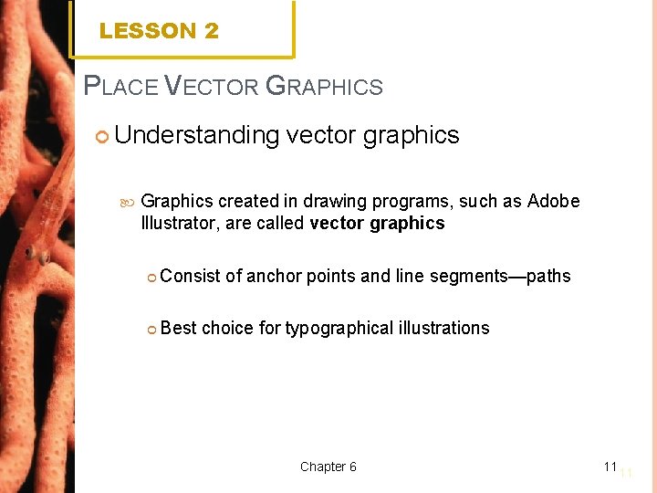 LESSON 2 PLACE VECTOR GRAPHICS Understanding vector graphics Graphics created in drawing programs, such