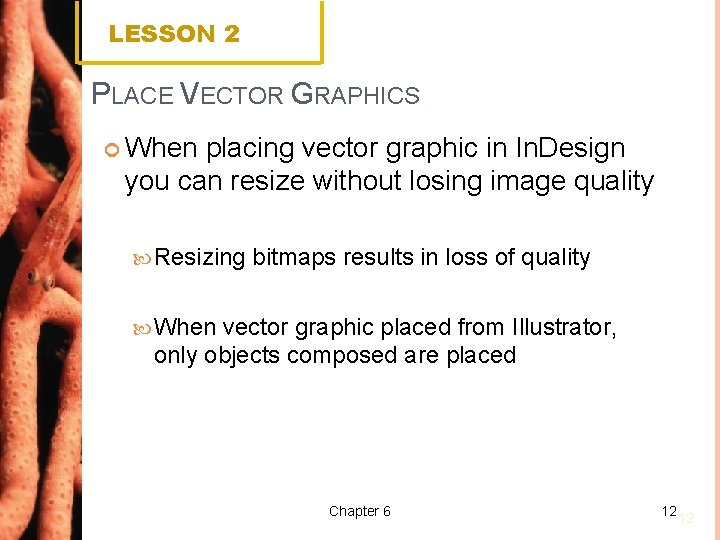 LESSON 2 PLACE VECTOR GRAPHICS When placing vector graphic in In. Design you can