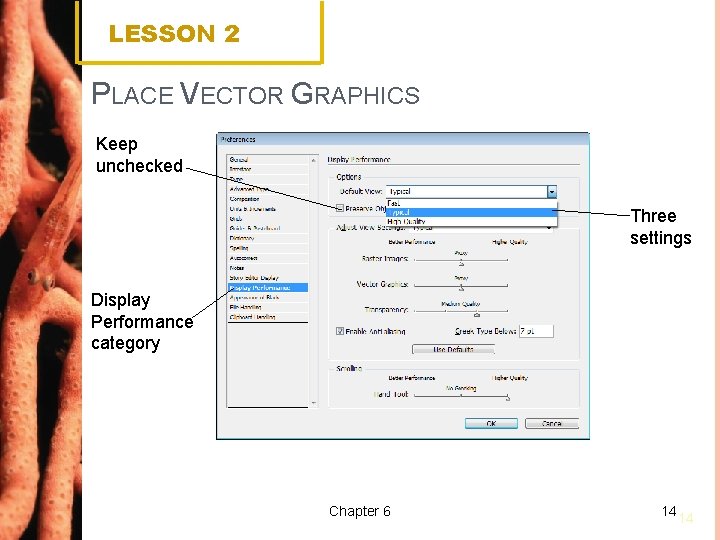 LESSON 2 PLACE VECTOR GRAPHICS Keep unchecked Three settings Display Performance category Chapter 6