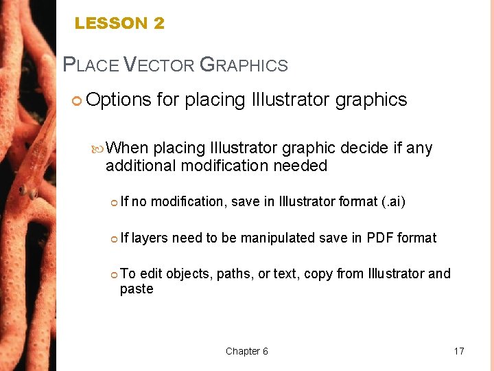 LESSON 2 PLACE VECTOR GRAPHICS Options for placing Illustrator graphics When placing Illustrator graphic