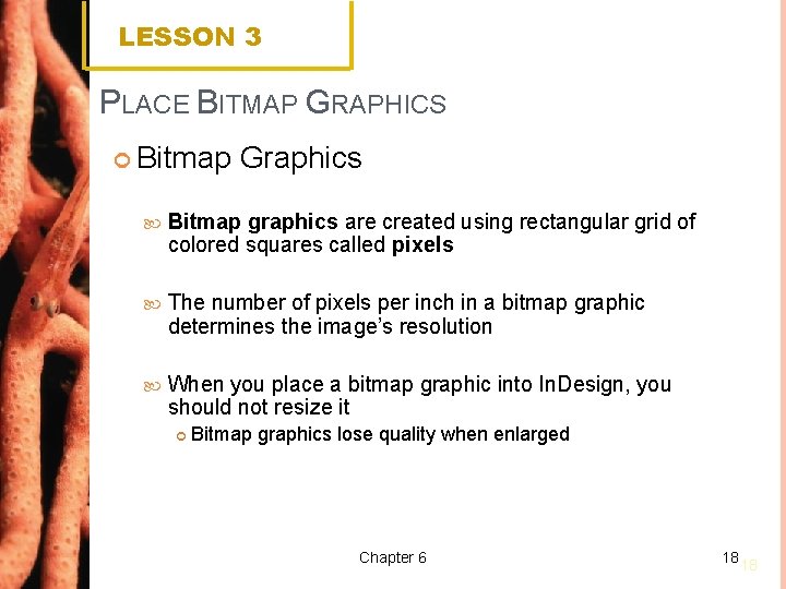 LESSON 3 PLACE BITMAP GRAPHICS Bitmap Graphics Bitmap graphics are created using rectangular grid
