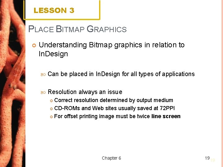 LESSON 3 PLACE BITMAP GRAPHICS Understanding Bitmap graphics in relation to In. Design Can