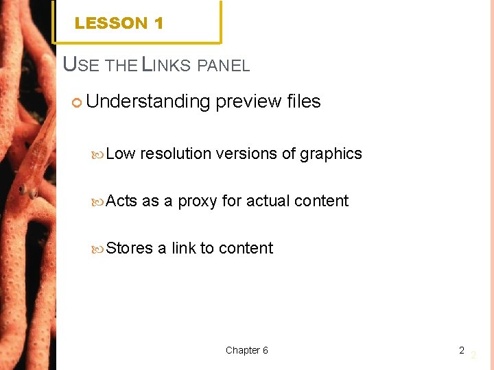 LESSON 1 USE THE LINKS PANEL Understanding preview files Low resolution versions of graphics