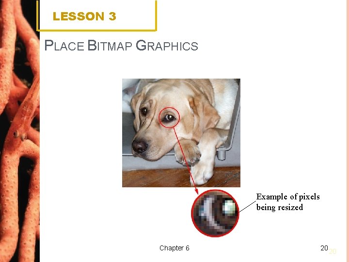 LESSON 3 PLACE BITMAP GRAPHICS Example of pixels being resized Chapter 6 20 20