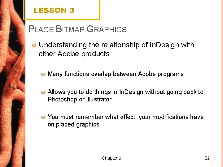 LESSON 3 PLACE BITMAP GRAPHICS Understanding the relationship of In. Design with other Adobe
