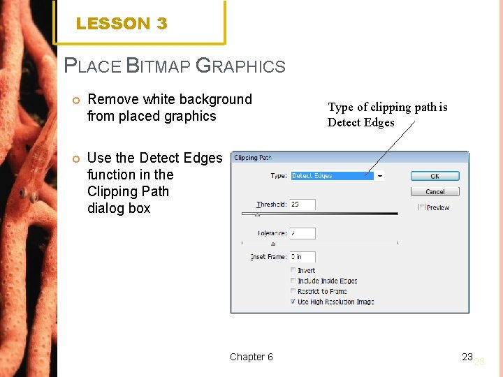 LESSON 3 PLACE BITMAP GRAPHICS Remove white background from placed graphics Use the Detect