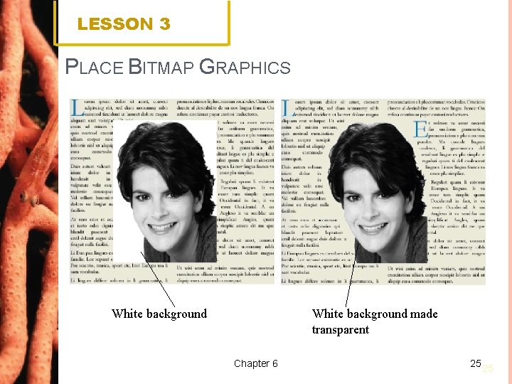LESSON 3 PLACE BITMAP GRAPHICS White background made transparent Chapter 6 25 25 