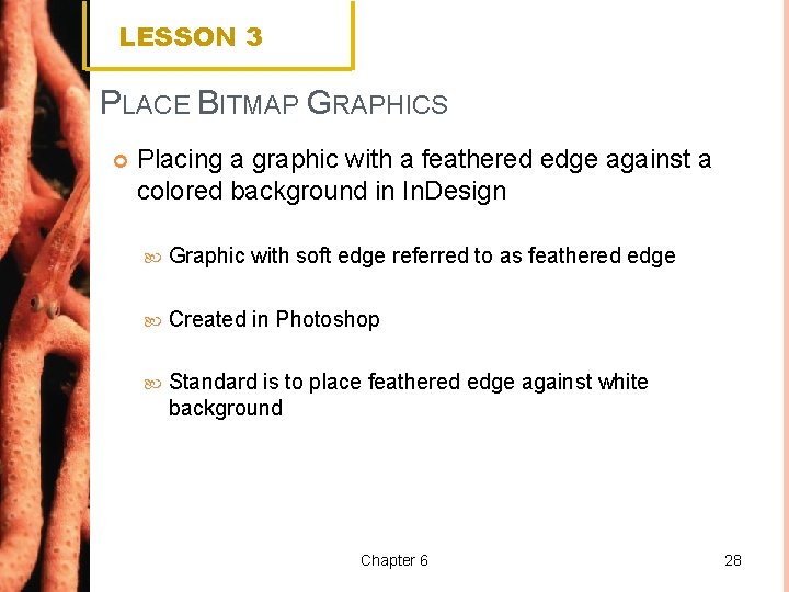 LESSON 3 PLACE BITMAP GRAPHICS Placing a graphic with a feathered edge against a