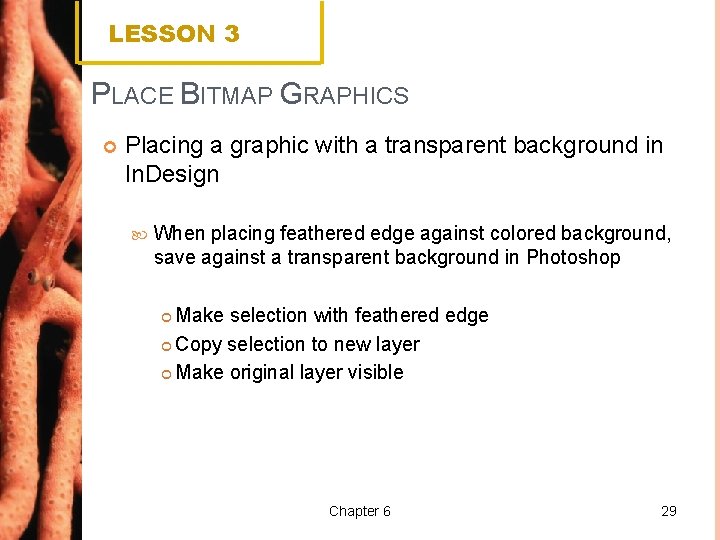 LESSON 3 PLACE BITMAP GRAPHICS Placing a graphic with a transparent background in In.